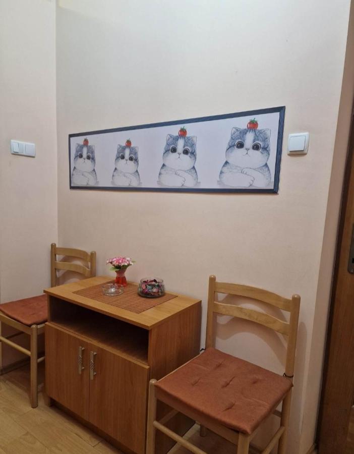 Apartament Central Traian Mosoiu , Parcare Proprie Κλουζ-Ναπόκα Εξωτερικό φωτογραφία