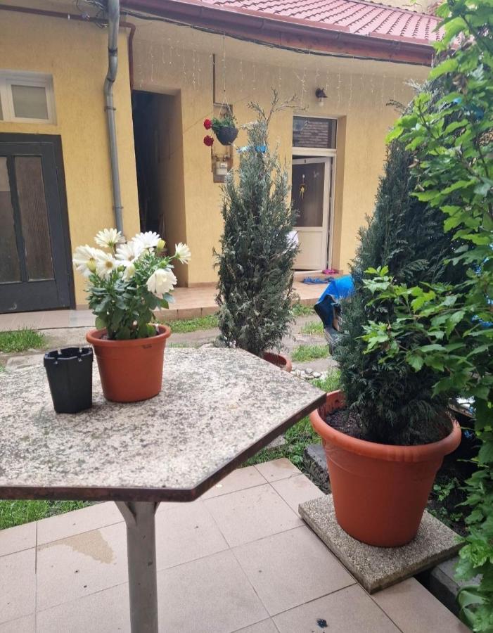 Apartament Central Traian Mosoiu , Parcare Proprie Κλουζ-Ναπόκα Εξωτερικό φωτογραφία